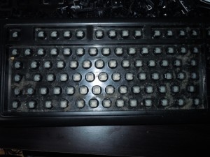 DSCN4189
